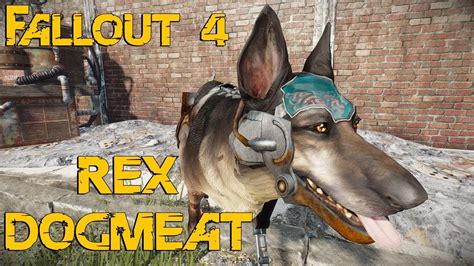 fallout 4 boston breeder hermes|I just realized that Dogmeat (4) is one of Rex and .